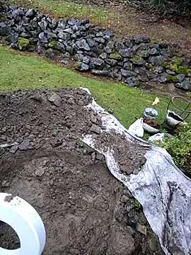 KingSlim56 online show from 15, 11, 2025