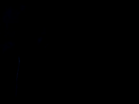 Holatpngo online show from 9, 11, 2025