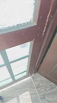 HorNy Bro Sis online show from 1, 11, 2025