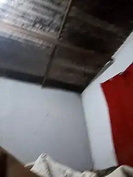 Delavia online show from 4, 4, 2026