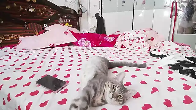 hebe-02 online show from 9, 10, 2025