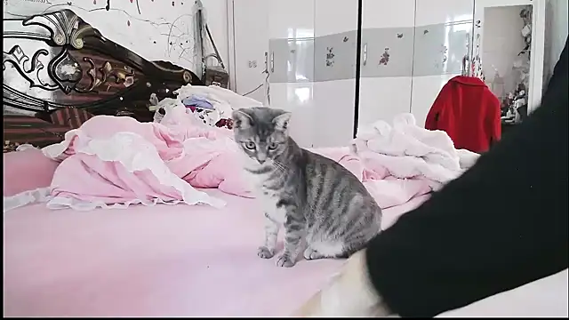 hebe-02 online show from 5, 11, 2025