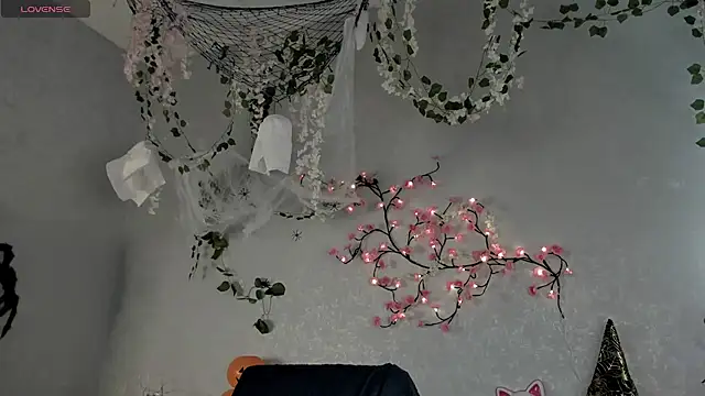 boozekirs  online show from 29, 10, 2025