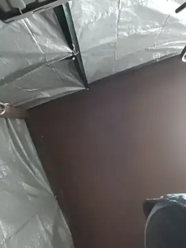 HTXBELLE online show from 5, 12, 2025