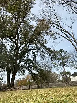 HTXBELLE online show from 16, 12, 2025