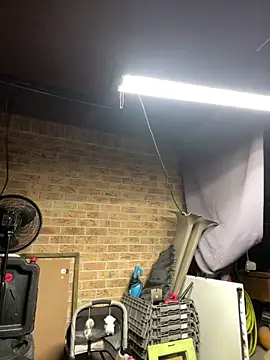 HTXBELLE online show from 13, 2, 2026