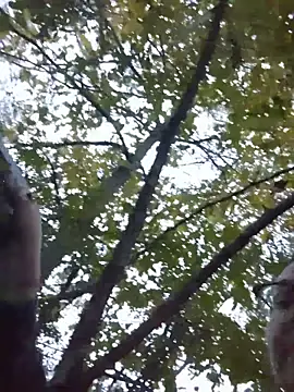 HTXBELLE online show from 29, 11, 2025