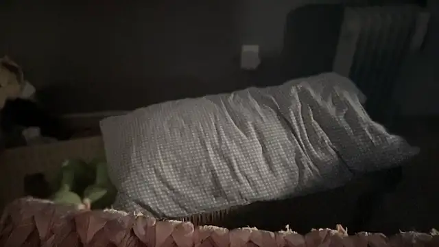 DominantDong online show from 9, 3, 2025