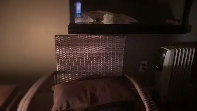 DominantDong online show from 28, 2, 2025