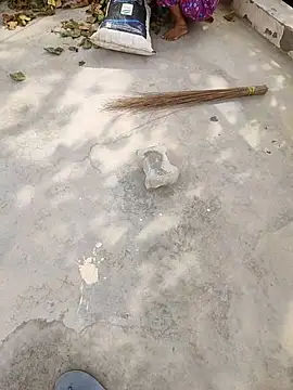 indian couple4 online show from 17, 4, 2026