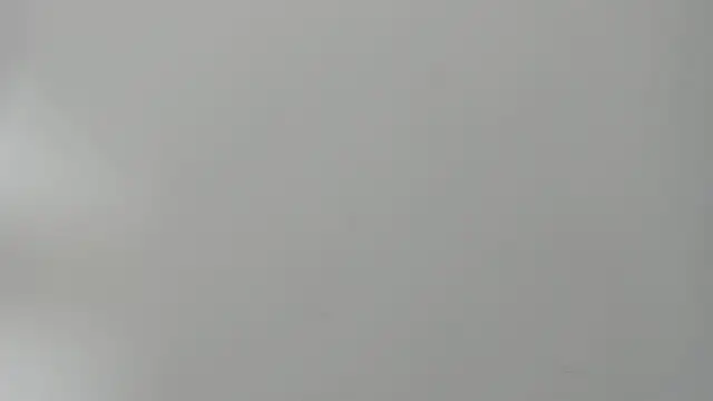 Zamira Taylor online show from 14, 3, 2025