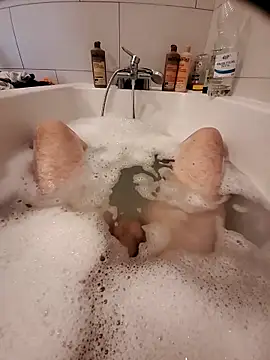 Jerome2312 online show from 10, 4, 2026