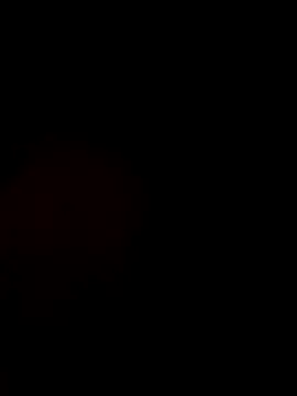 JBM007 online show from 1, 3, 2026