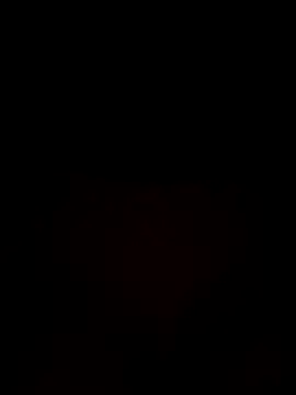 laraaaaaa online show from 29, 10, 2025