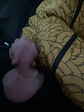 cazzone912025 online show from 18, 3, 2025