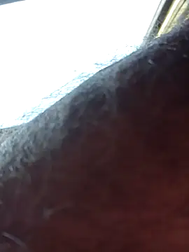 chris8827 online show from 13, 3, 2025