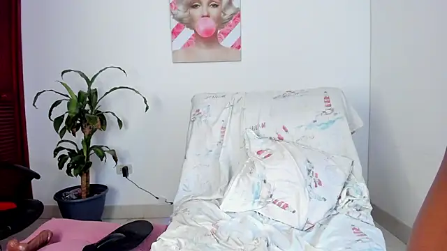 sindy castro online show from 10, 11, 2025