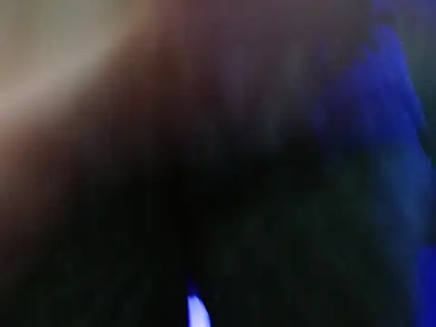 Pandora 9666 online show from 6, 1, 2026