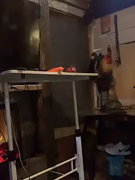 Polaroid White online show from 6, 3, 2025