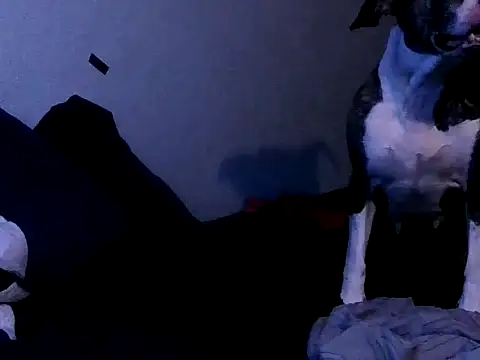 Snapshot of PornStro921 chatting on 2, 10, 2025 PornStro921 online show from 2, 10, 2025