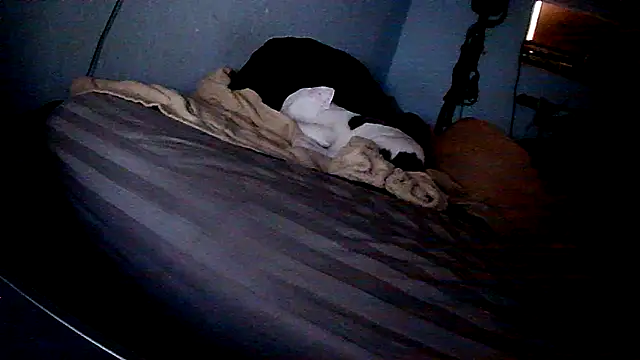 Snapshot of PornStro921 chatting on 11, 2, 2026 PornStro921 online show from 11, 2, 2026