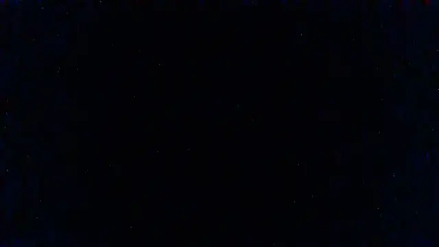 SillyRabbitz online show from 3, 3, 2025