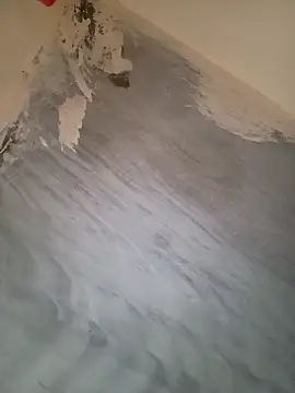 heena-3678 online show from 24, 9, 2025