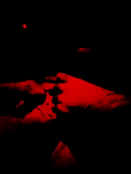 arimydari online show from 20, 2, 2026