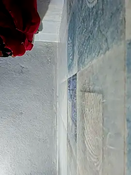 wildfun  online show from 22, 10, 2025