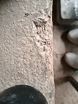 Snapshot of surfacespurt54 chatting on 23, 10, 2025 surfacespurt54 online show from 23, 10, 2025