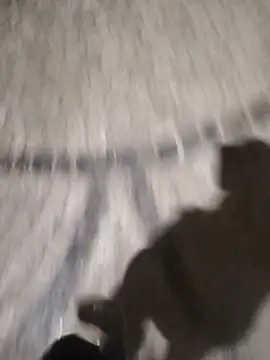 Snapshot of surfacespurt54 chatting on 17, 3, 2025 surfacespurt54 online show from 17, 3, 2025