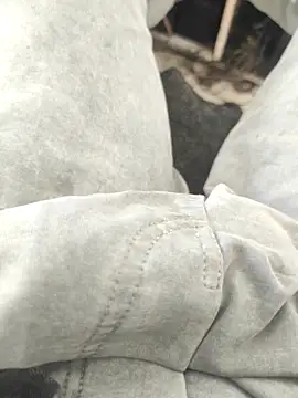 bbclip online show from 2, 11, 2025