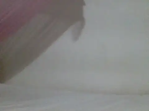 sissydinu online show from 9, 5, 2026