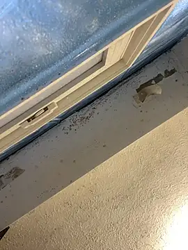 YODAPESOS online show from 23, 2, 2026