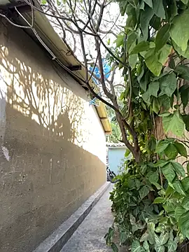 twinks 28 online show from 25, 2, 2026