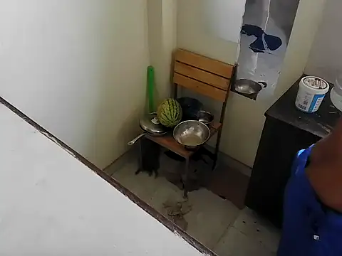 fitbuddy1 online show from 15, 2, 2026