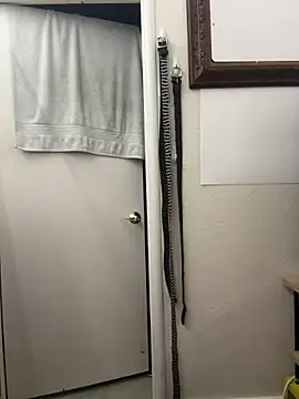 August 26 online show from 5, 3, 2025