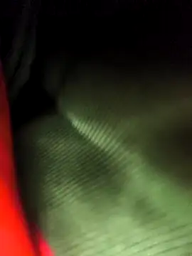 Rosemarie Blu online show from 9, 11, 2025