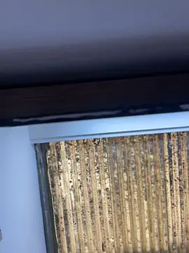 Madisson-Rivas online show from 13, 11, 2025