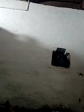 abbai dengutha online show from 11, 3, 2025