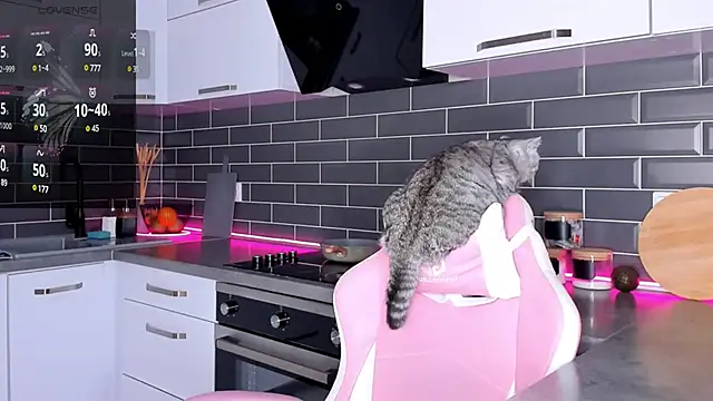 ShaiyaMinn3 online show from 28, 2, 2025