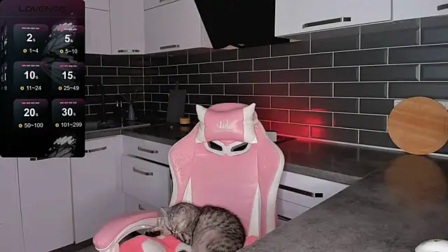 ShaiyaMinn3 online show from 16, 3, 2026