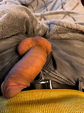 bavaricus123 online show from 16, 3, 2025