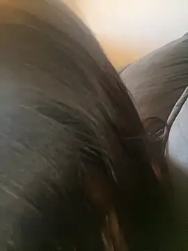 mel88Da online show from 1, 10, 2025