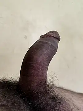 alkhabiir online show from 27, 2, 2026