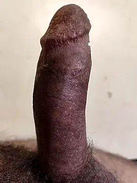 alkhabiir online show from 12, 10, 2025