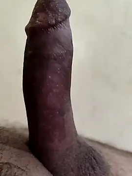 alkhabiir online show from 3, 3, 2026