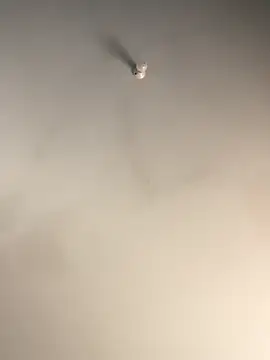 1Zoey101 online show from 2, 12, 2025