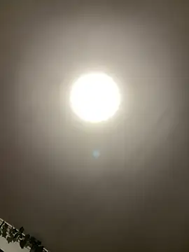 1Zoey101 online show from 5, 4, 2026