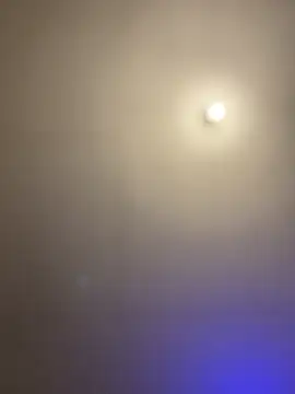 Snapshot of 1Zoey101 chatting on 2, 3, 2026 1Zoey101 online show from 2, 3, 2026